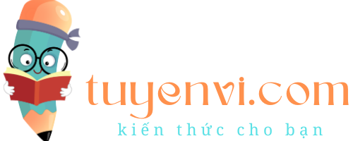 tuyenvi.com